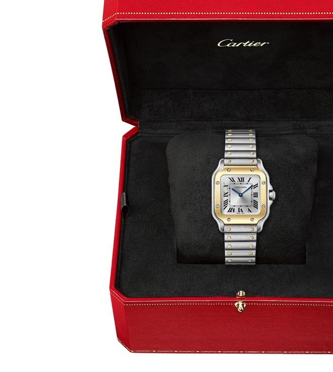 For Women Santos de Cartier W2SA0033