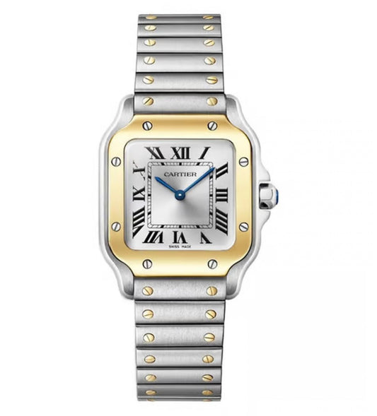 For Women Santos de Cartier W2SA0033